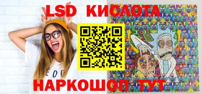 гидра Новозыбков