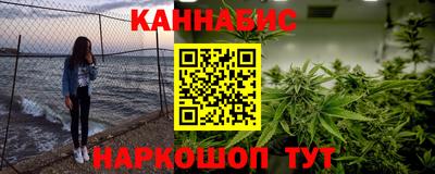 гидра Новозыбков